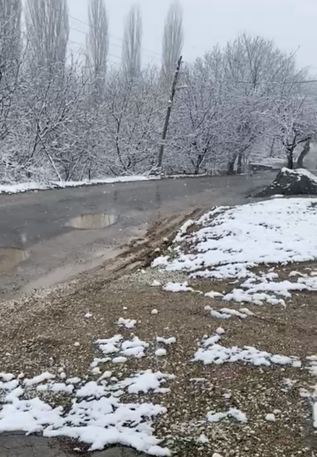 AKÇADAĞ’DA NİSAN ŞOKU: KAR YAĞIŞI KAYISIYI TEHDİT EDİYOR, ÇİFTÇİ ENDİŞELİ