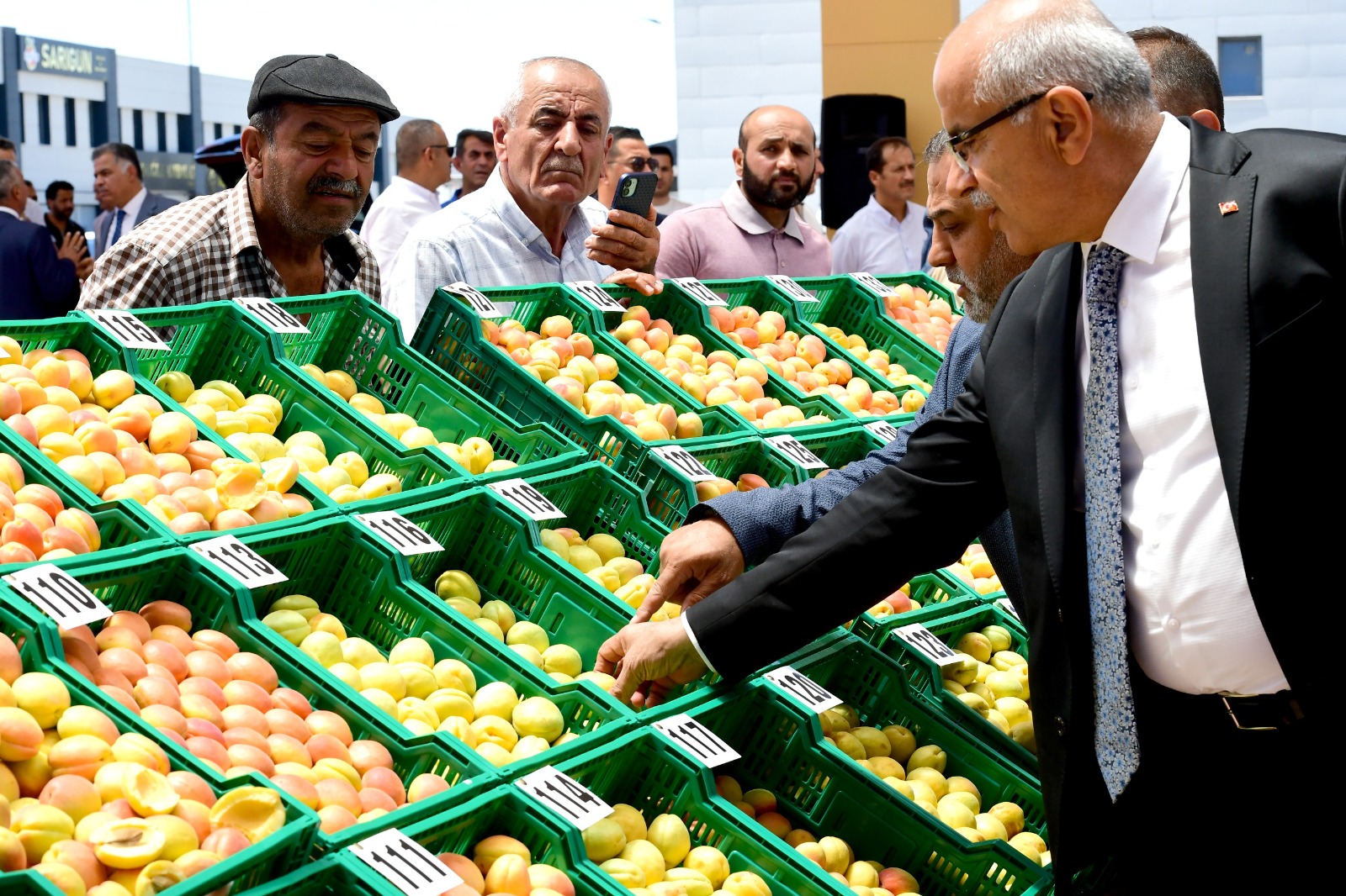Altın Meyvenin En İyisi Seçildi: Kayısı Yarışmasında Ödüller Sahiplerini Buldu.