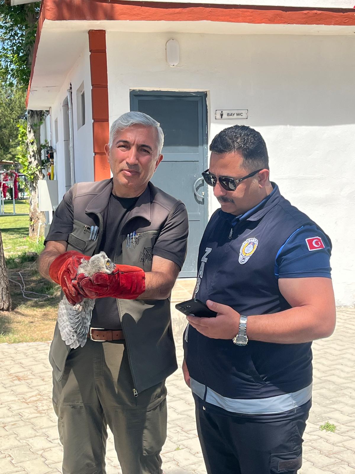 Battalgazi Zabıtası Doğaya Sahip Çıktı: Yavru Baykuş Kurtarıldı