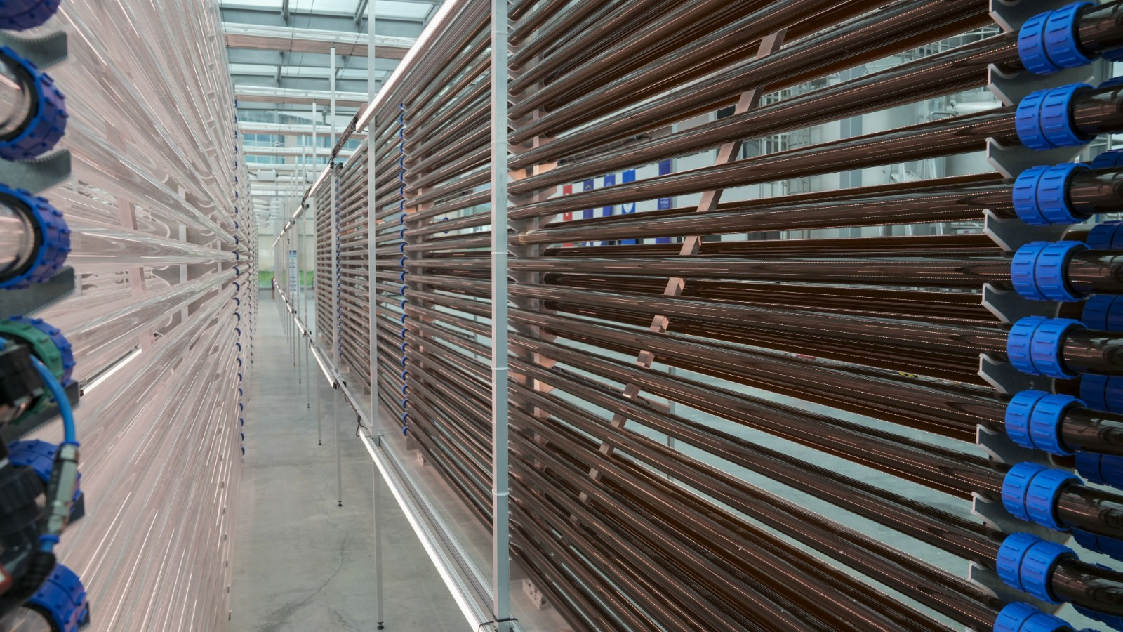 Boğaziçi Üniversitesi Küresel Bir Projeye İmza Atıyor