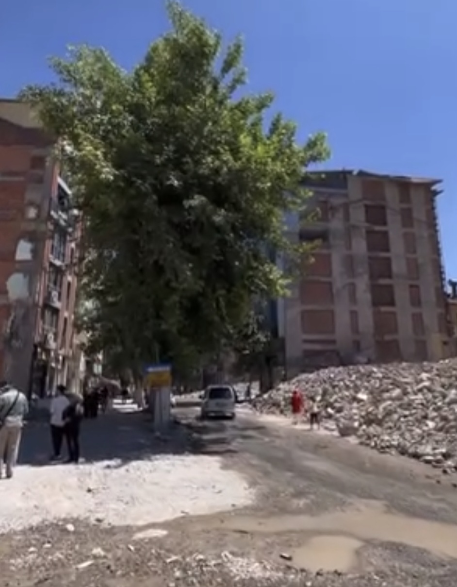 Buduyoruz” Dediler, Kökünden Kestiler: Battalgazi’de Çınar Katliamı