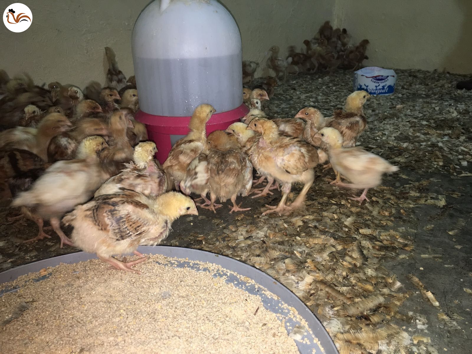 Et ve Tavuk Birlikleri Denetleniyor mu?