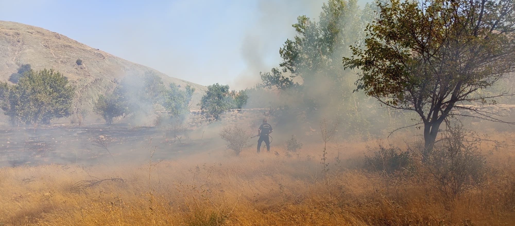 Hekimhan’da Otluk ve Ormanlık Alanda Yangın.