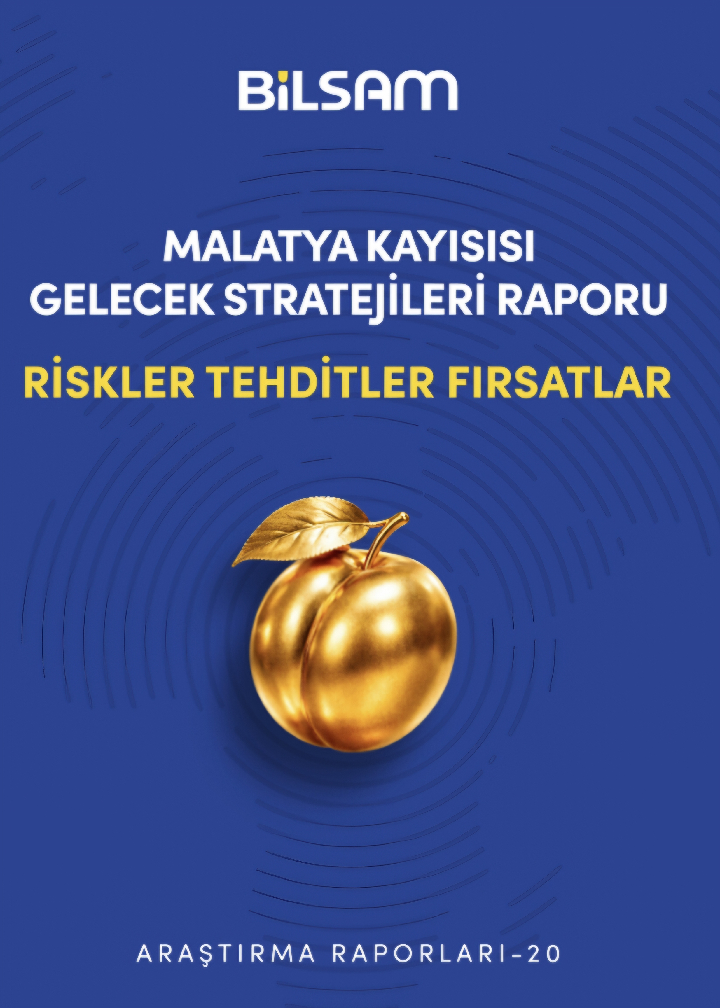 Malatya Kayısının Geleceği Masada: Stratejik Rapor Risk ve Fırsatları