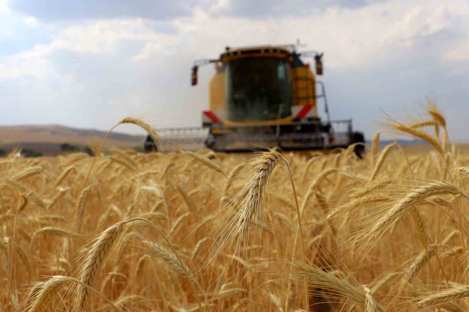 Malatyalı Çiftçilere Müjde: Tarımsal Destekleme Ödemeleri Bugün Hesaplarda