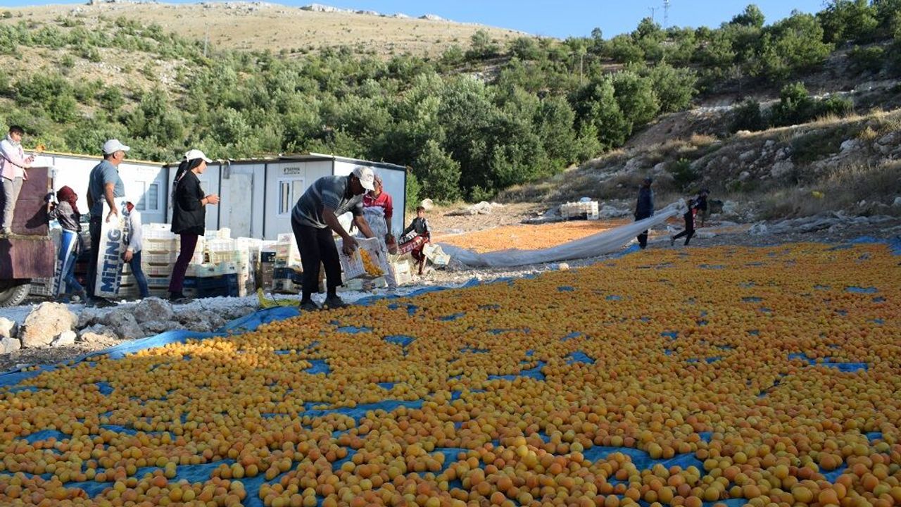 Mevsimlik Tarım İşçilerinin Yaşam Koşullarına Yönelik Yeni Adımlar.