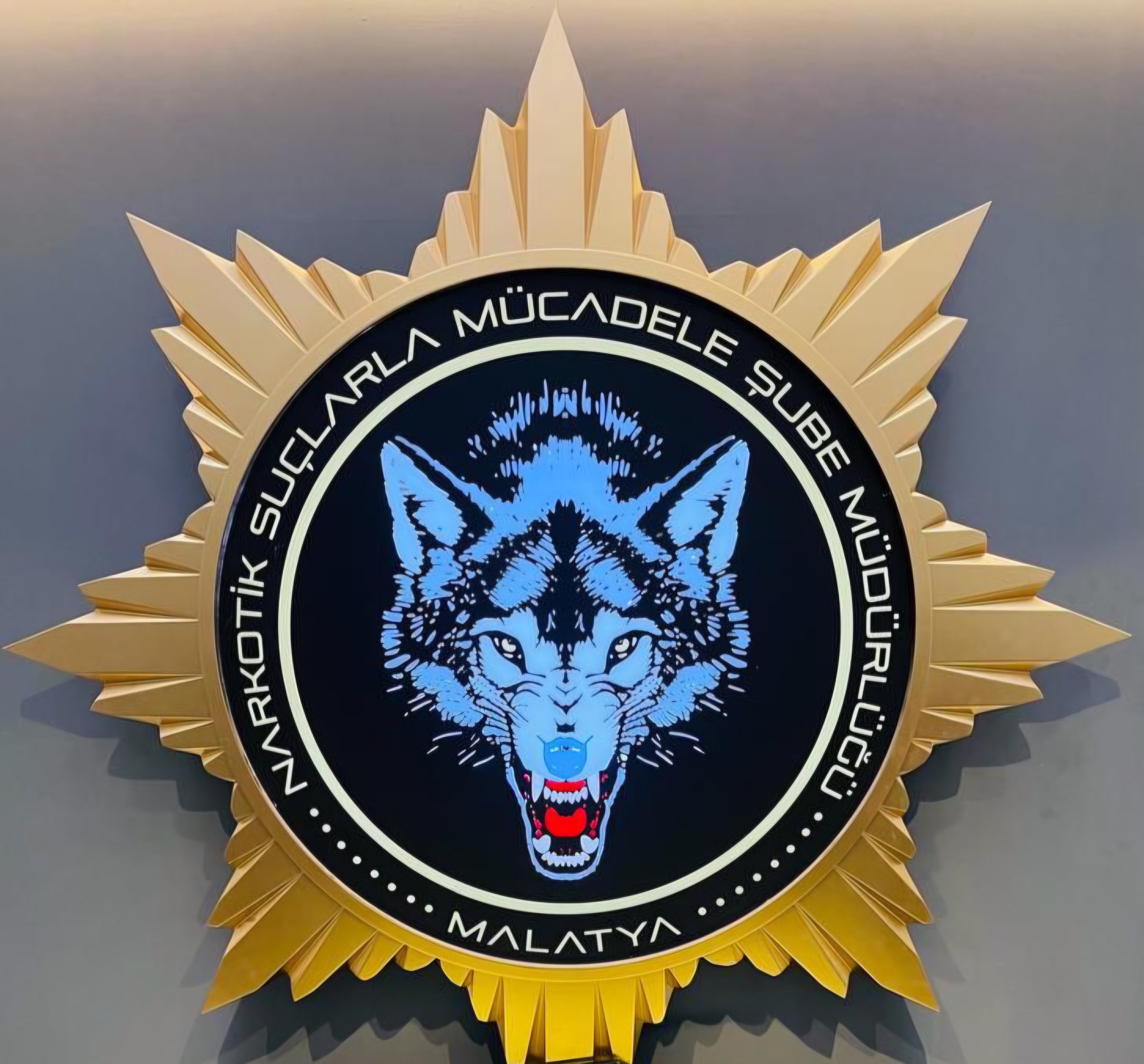 Narkotik Operasyonunda Büyük Darbe: 9 Gözaltı, 8 Tutuklama