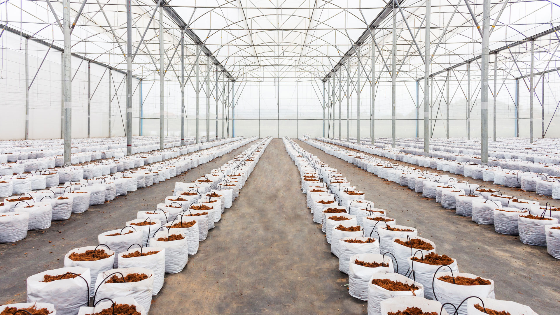 Seralar, Yağmur Hasadı ile Su Kaynakları Üzerindeki Baskıyı Azaltıyor.