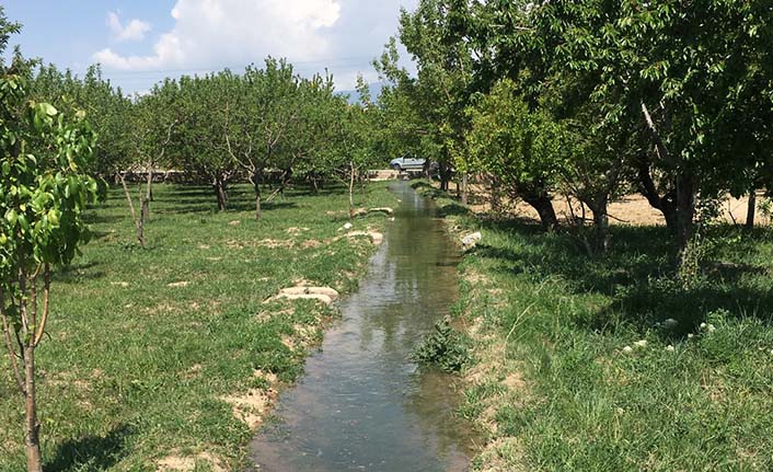 SULAMA BİRLİKLERİ NE İŞ YAPIYOR?