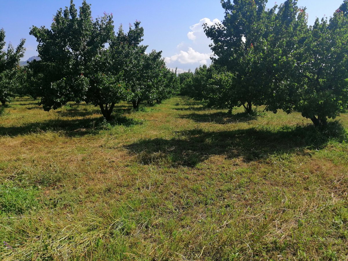 Sulama Var, Su Yok… Tarım Var, Çiftçi Yok