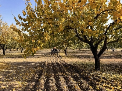 Ticaret Borsası Nerede, Malatya Üreticisi Kime Emanet?”