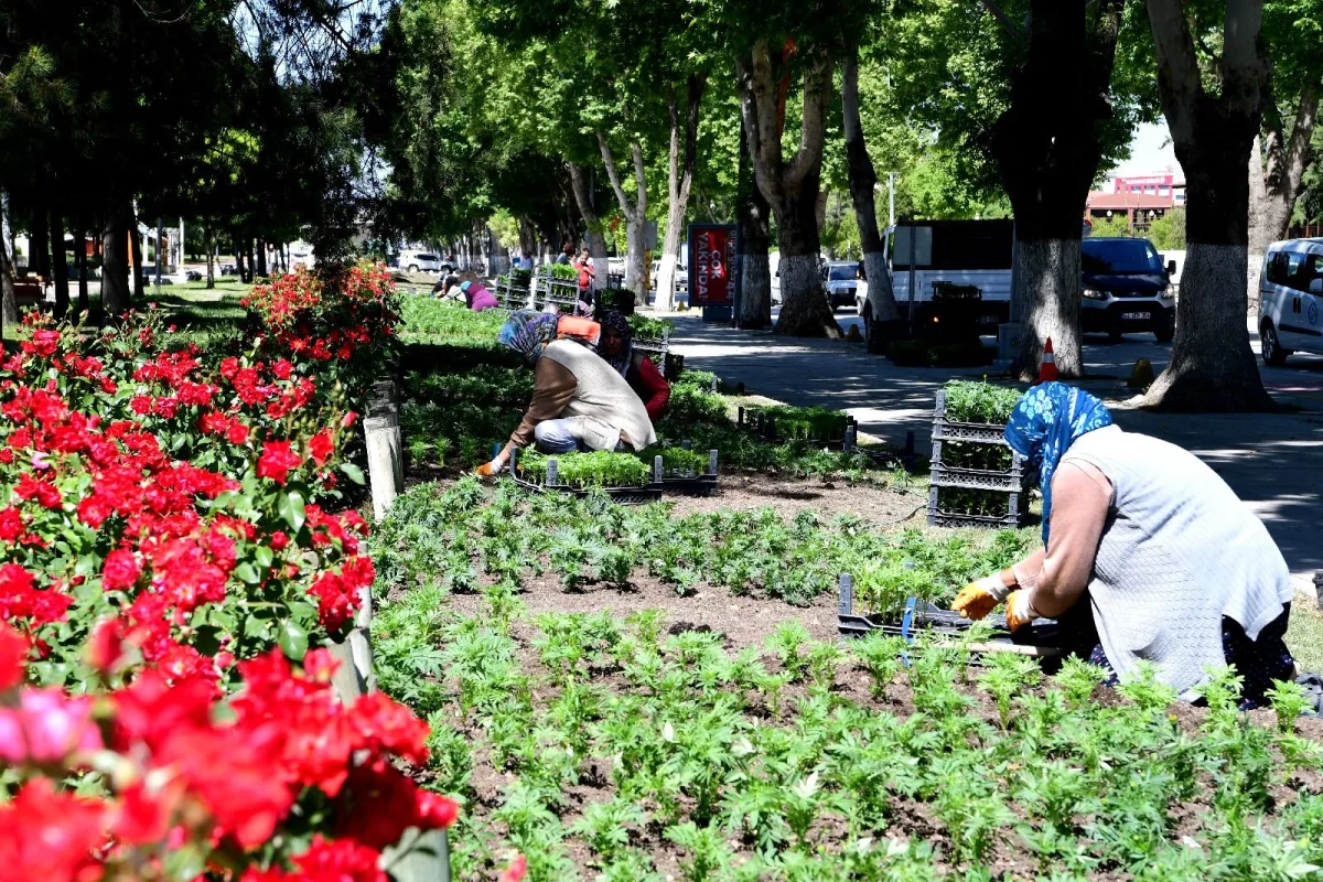 MALATYA’DA PEYZAJ ÇALIŞMALARI