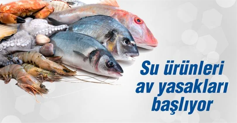 Su Ürünleri Av Yasağı Hakkında Önemli Bilgilendirme