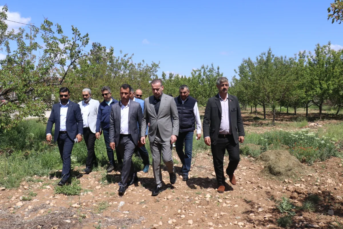 MAGİNDER SÜTLÜCE VE TOPRAKTEPE'DE
