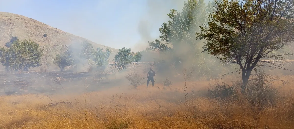 Hekimhan’da Otluk ve Ormanlık Alanda Yangın.