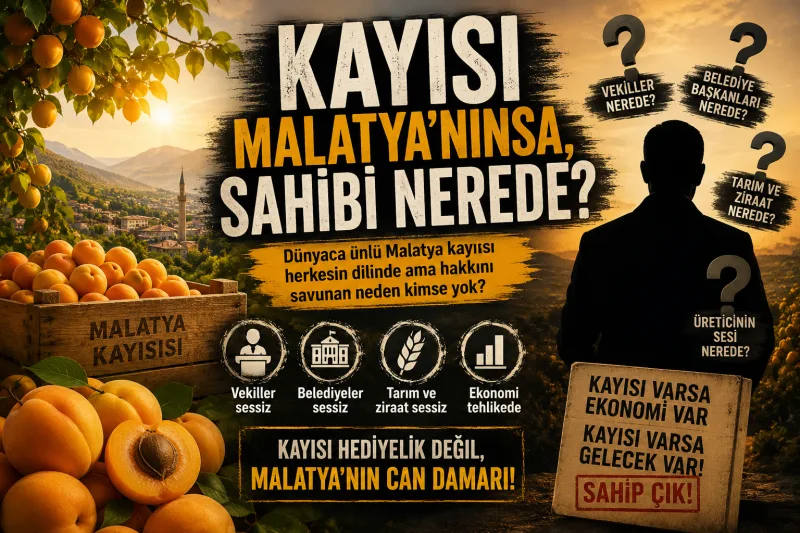 DÜNYA MALATYA KAYISINI KONUŞUYOR, MALATYA KAYISISINI SAVUNAN YOK!...